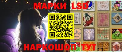 дмт Камышлов