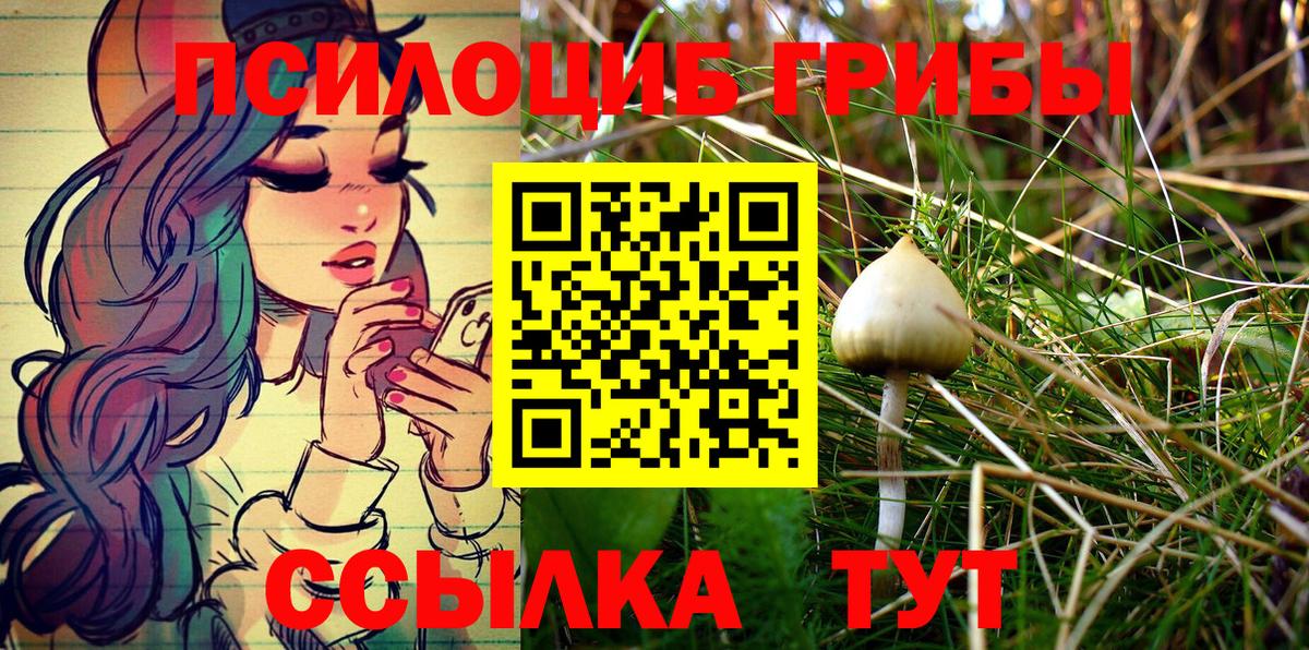 Киржач  Галлюциногенные грибы Psilocybe  Вход с VPN  Псилоцибиновые грибы MAGIC MUSHROOMS 